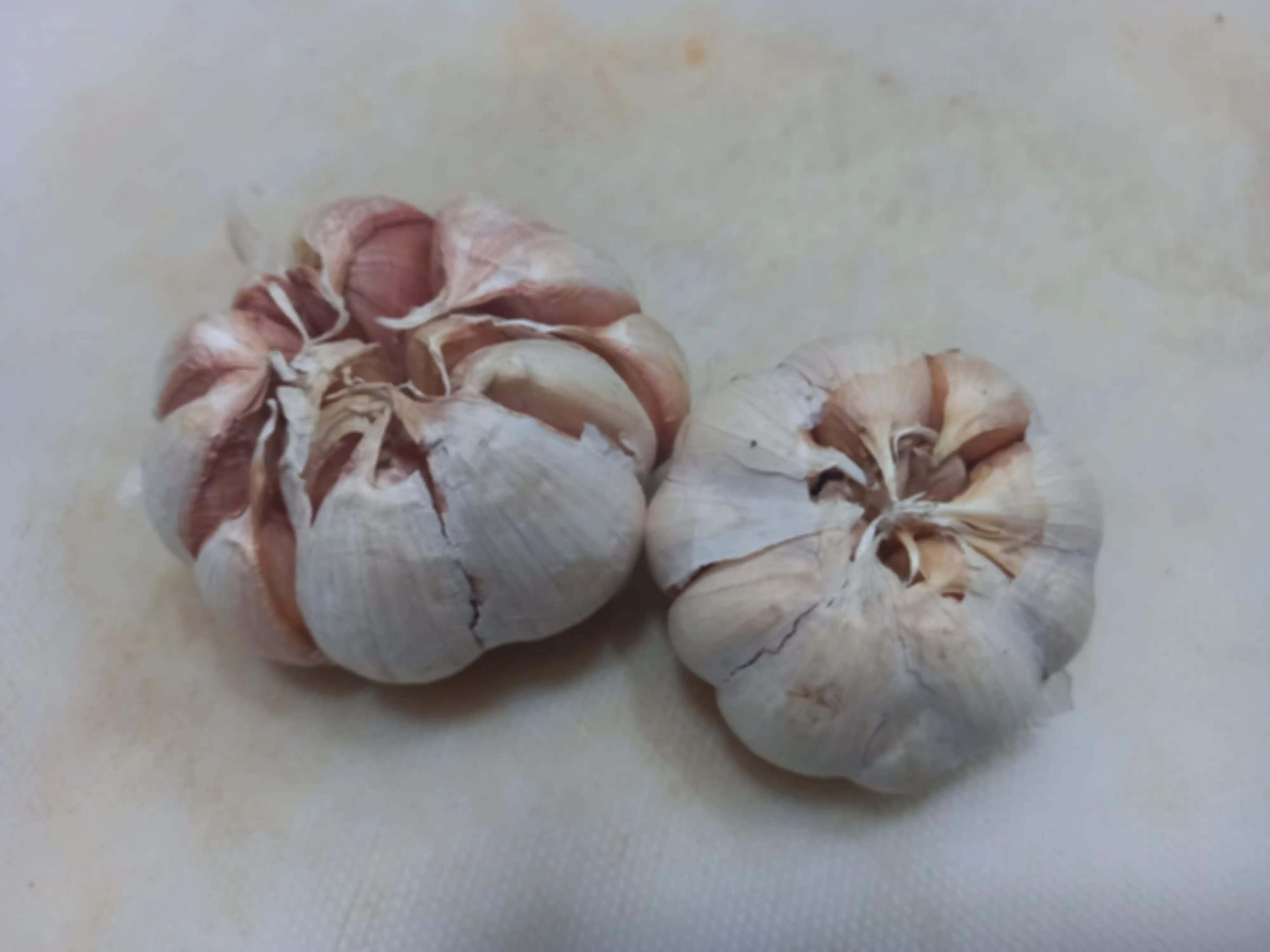 Moms, cara membasmi nyamuk dari rumah cuma bermodalkan bawang putih yang diracik seperti ini.