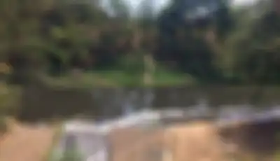 Sungai Bengawan Solo adalah salah satu contoh bentang alam secara umum Pulau Jawa.