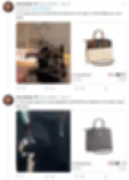 Tas Louis Vuitton yang dijarah selama demonstrasi