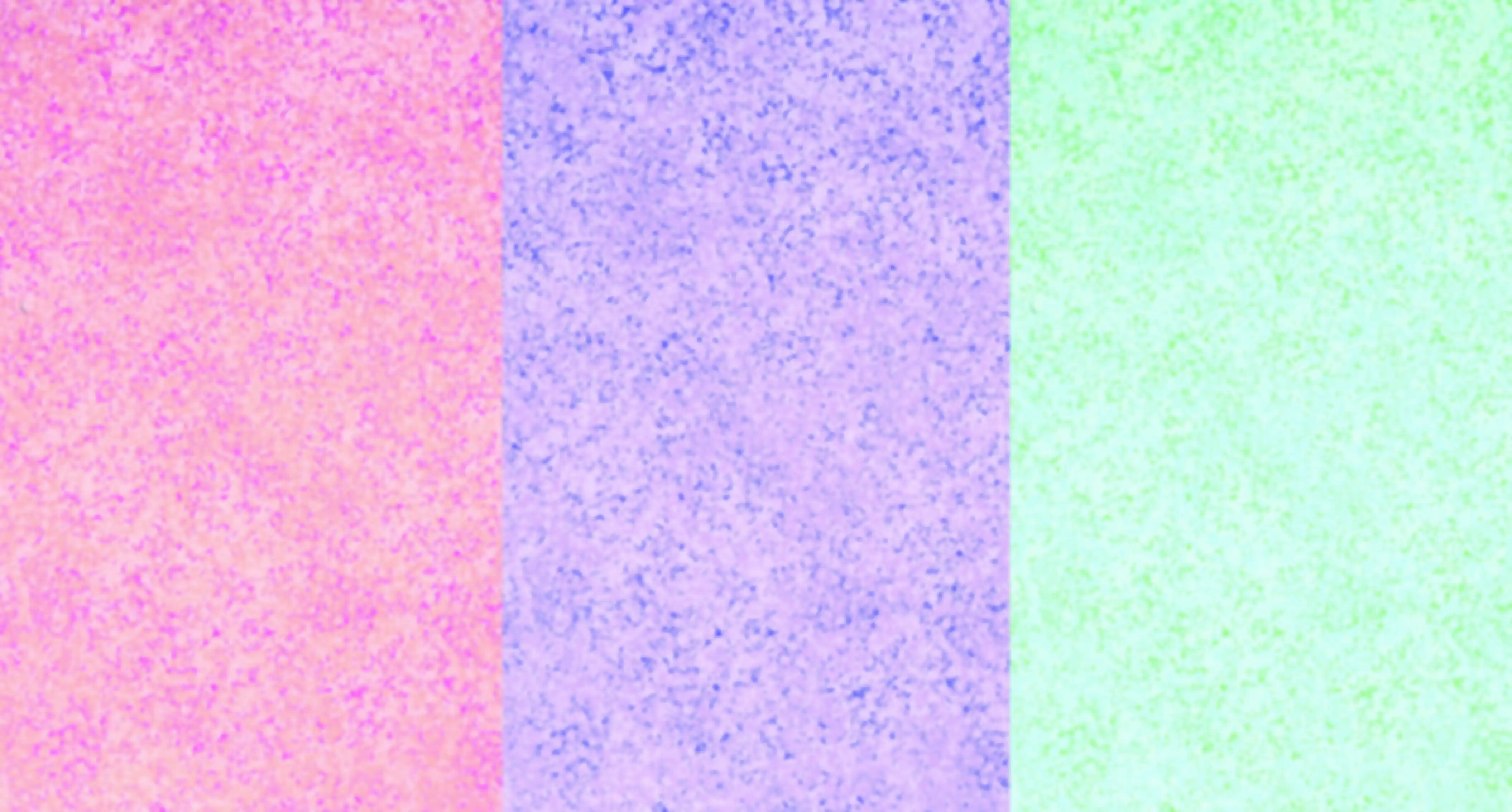 Pilihan warna motif spogging.