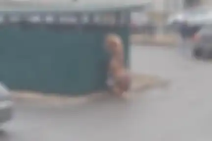 Suami Marta Zenkina yang membuang sampah menggunakan kostum T-Rex.