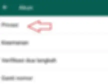 Tips WA: Cara Melihat Status Whatsapp Teman Tanpa Ketahuan Pemiliknya