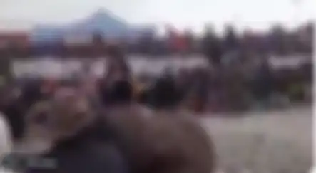 Pengibaran Bendera Bintang Kejora