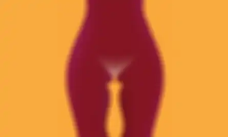 Ilustrasi vagina