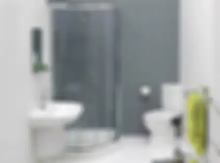 Buat pemilik rumah mungil jangan main beli ya. Foto desain kamar mandi jadi sorotan gegara pemakaian material ini. 