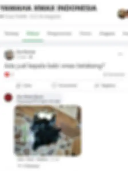 Postingan Eva Kurnia di grup Yamaha XMAX