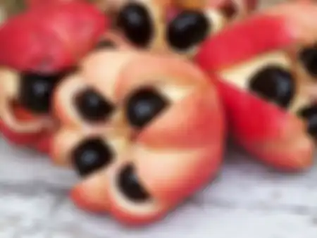 Buah Ackee