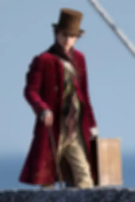 Timothee Chalamet sebagai Willy Wonka