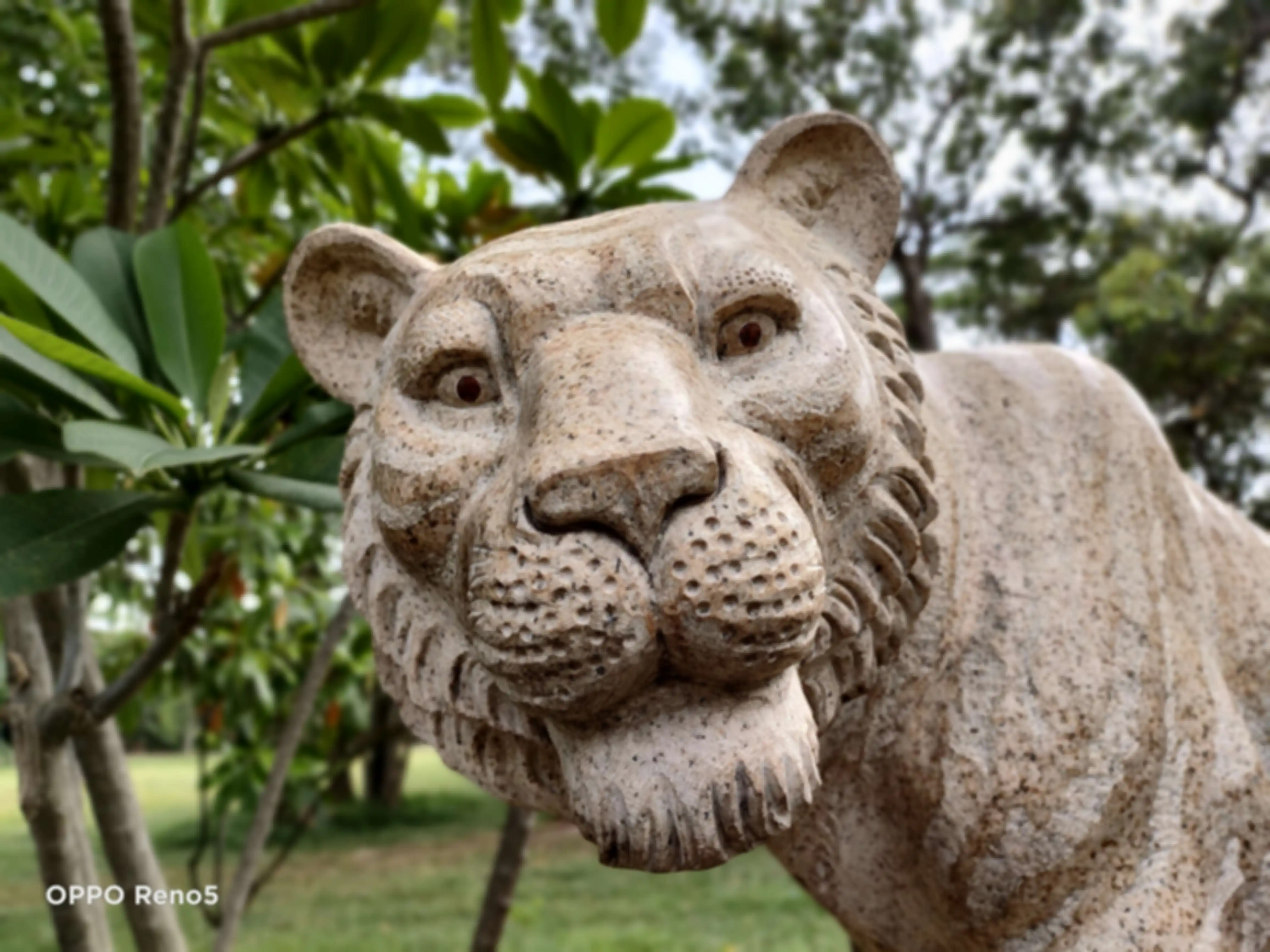 Hasil lensa potrait dari Oppo Reno5