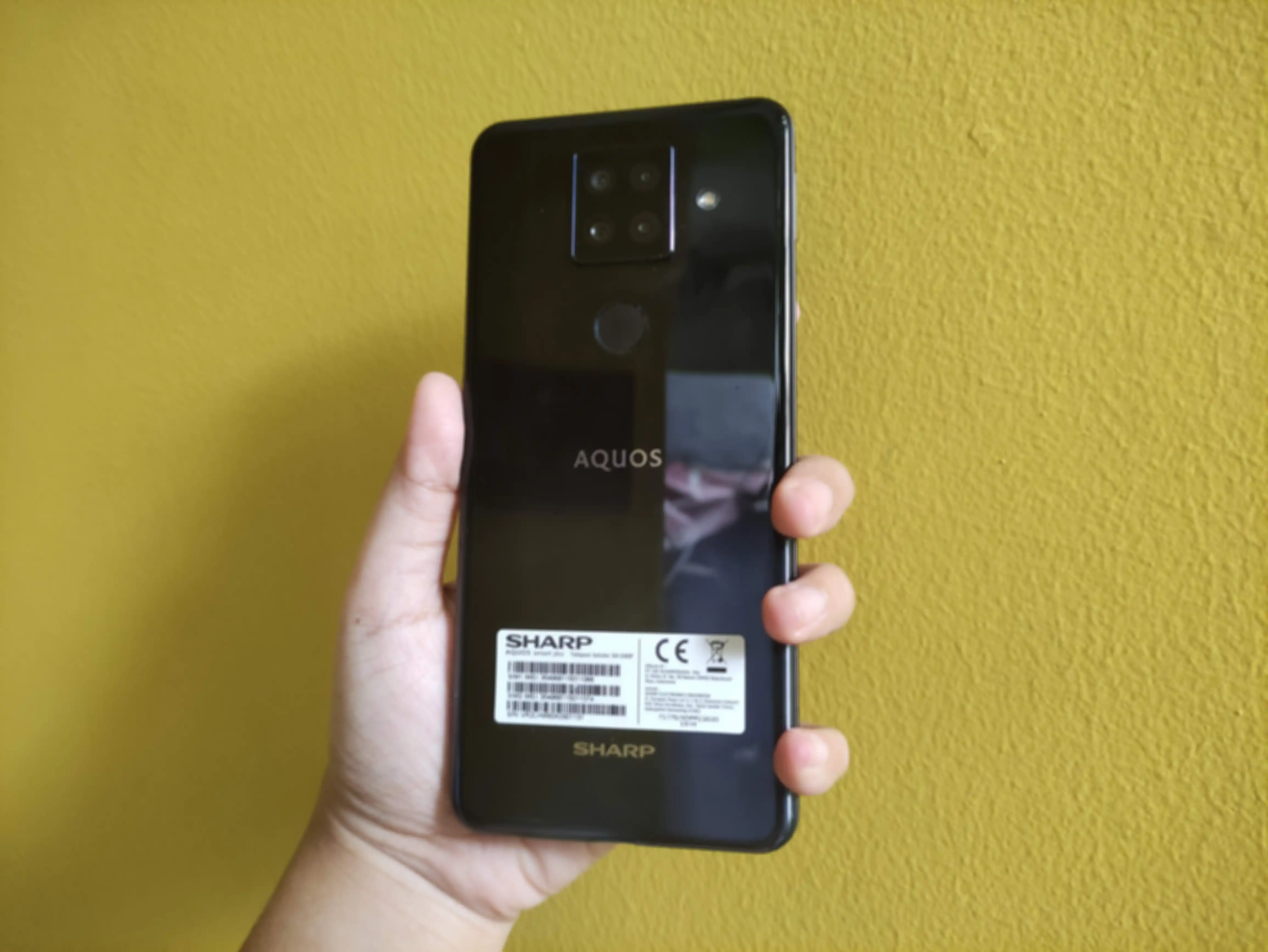 Bagian belakang Sharp Aquos Sense4 Plus