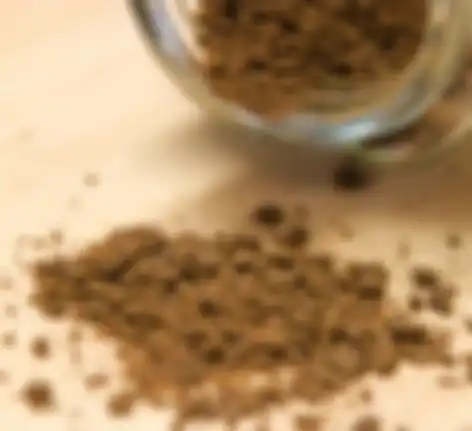 Hilangkan Semut dengan Kopi