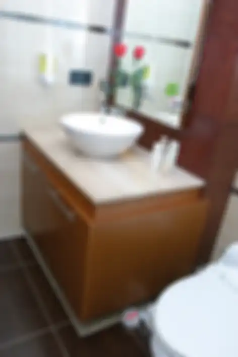Mengusir Kecoa di Kamar Mandi