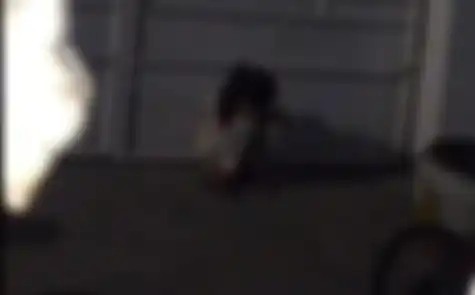 Seorang anak kecil menangis di pinggir jalan