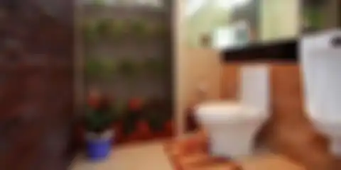 Inilah 9 tanaman penghilang bau toilet yang dijamin selalu bikin segar. Wangi alami kamar mandi dipuji Ibu-ibu. Intip foto profilnya. 