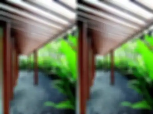 Ilustrasi taman kering.