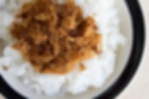 Nasi abon