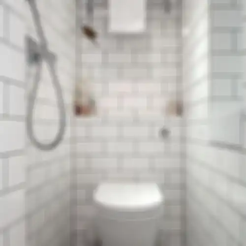 Toilet Sebaiknya Jangan di Dekat Pintu Utama Rumah, Ini Solusinya
