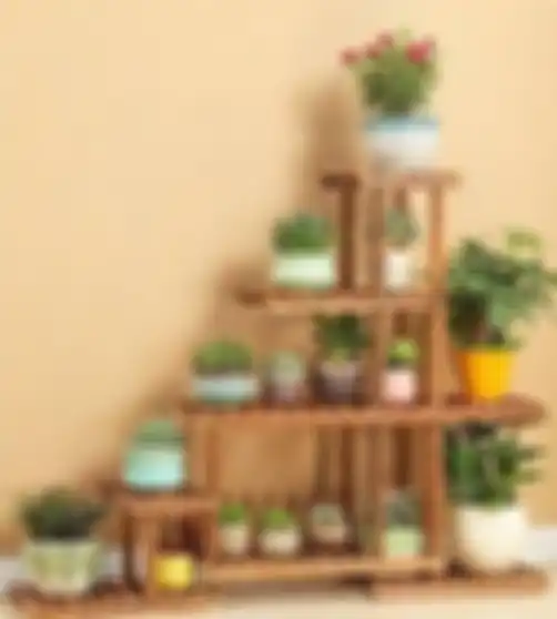 Feng shui menyebut 3 bahaya ini jika kita simpan kaktus di dalam rumah. Padahal tanaman ini bikin cantik foto interior. 