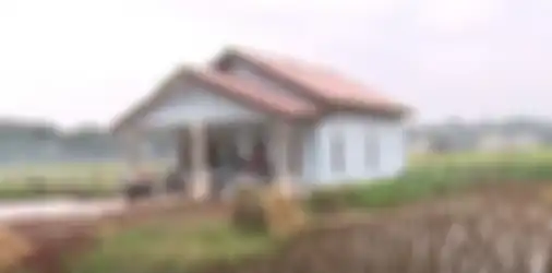 Rumah sederhana Sibad yang berlokasi di tengah sawah.    