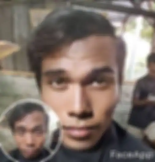 udin sedunia