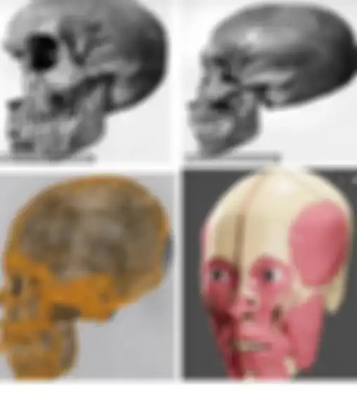 Rekonstruksi wajah Firaun Akhenaten