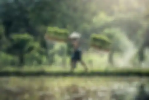 Ilustrasi petani.