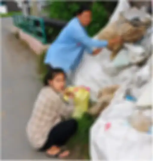 Khanittha membantu memulung