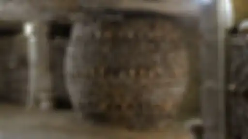 Paris Catacombs