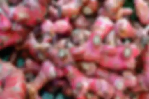 Jahe merah