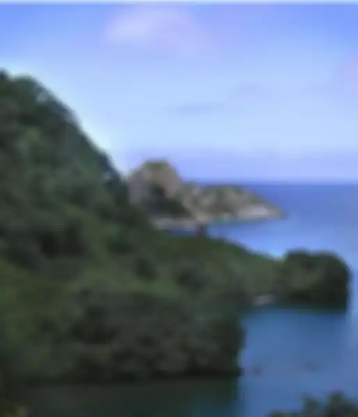 Menjadi warisan dunia UNESCO pulau ini merupakan tempat tinggal harimau di darat dan hiu di laut.