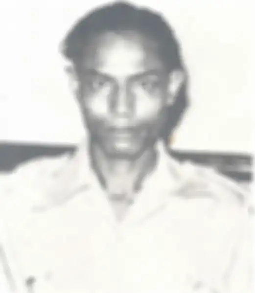 Ibnu Sutowo. 