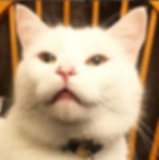 Smudge