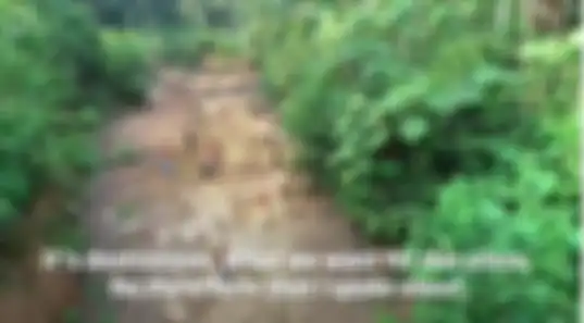 Hutan ini merupakan rumah bagi banyak suku Amazon yang tinggal di dalamnya.