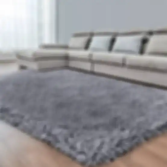Karpet shag