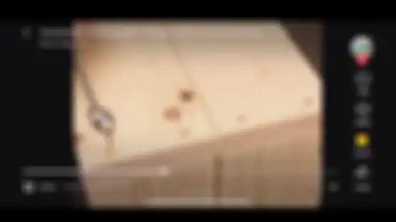 Tampilan video horizontal pada uji coba yang dilakukan TikTok