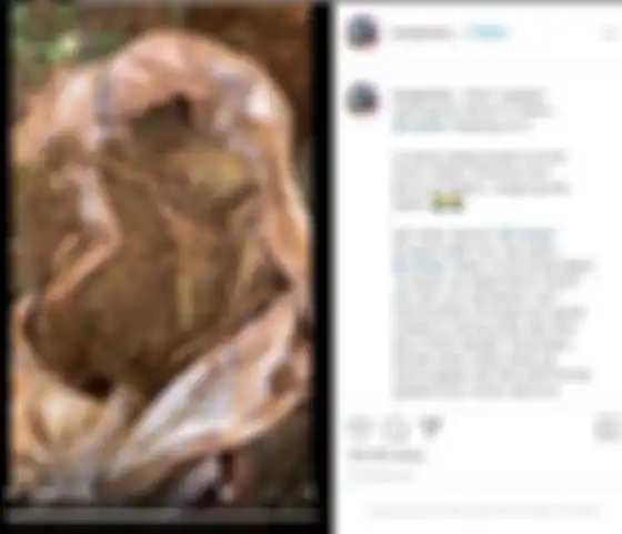Penemuan bungkusan pocong berisi tanah kuburan di rumah Indadari. 