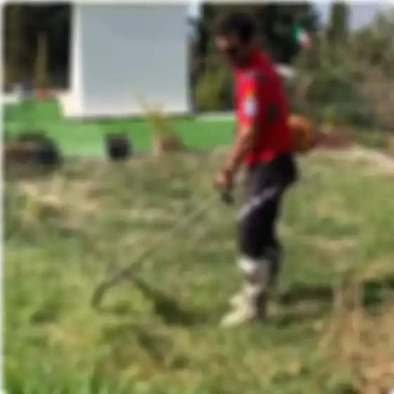 Danilo Petrucci memotong rumput 