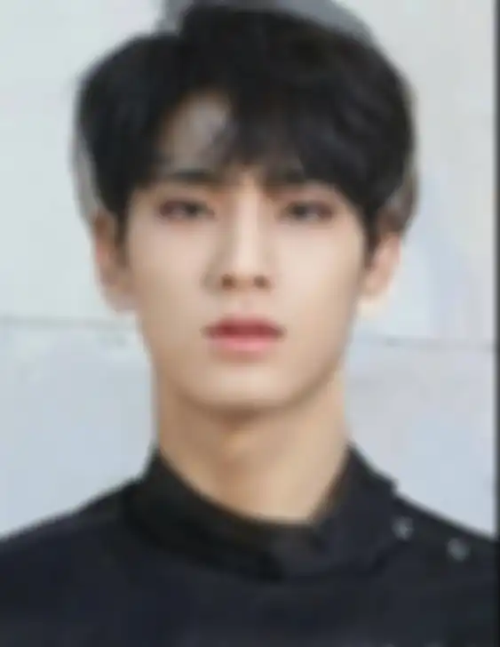 Mingyu dan Wonwoo SEVENTEEN