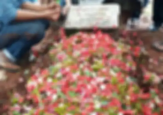 Makam Laila Sari