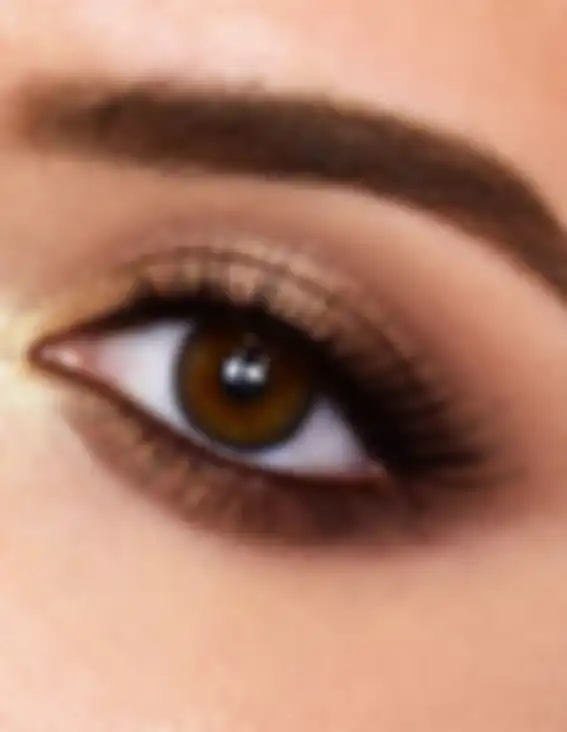 Warna eyeshadow bronze