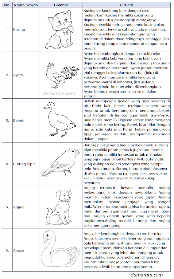 Ini jawaban temukan ciri-ciri hewan di sekitar rumahmu yang menjadi soal buku tematik kelas 4 SD tema 3.
