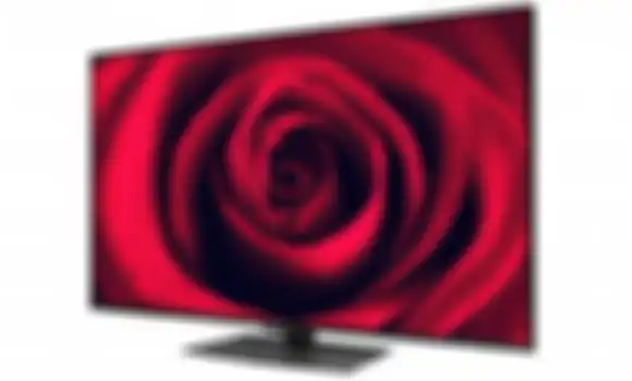 Variasi warna merah dan hijau lebih banyak, gambar mendekati nyata (Sharp)