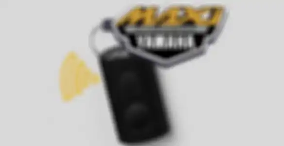 Keyless anti maling