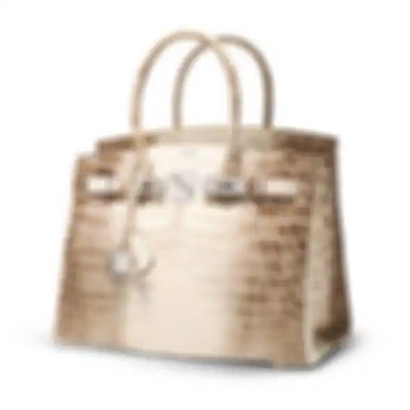 Hermes Himalayan Crocodile Birkin