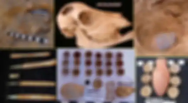 Temuan artefak misterius di Lembah Para Raja di Mesir