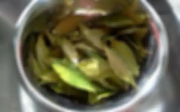 Manfaat daun salam rebus