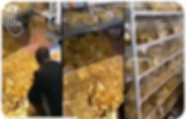 Kenalkan ini koruptor terkaya di dunia karena miliki 13,5 ton emas dan uang setengah triliun. 