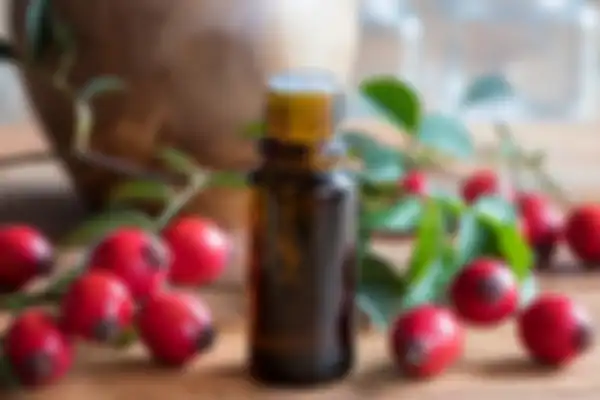 minyak rosehip