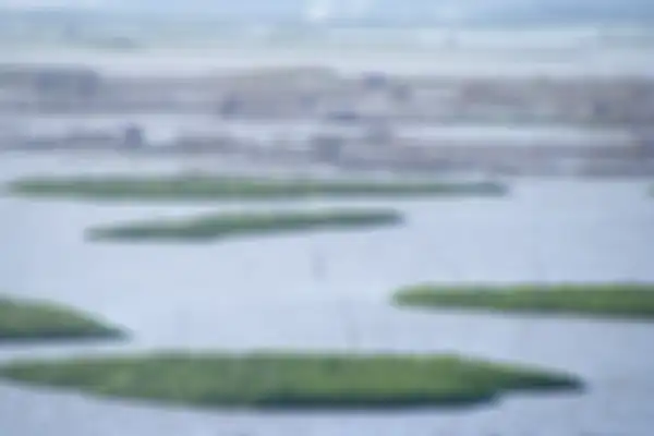 kondisi Danau Limboto saat musin penghujan. Dikabarkan pendangkalan Danau Limboto terus berlangsung, kemarau tahun ini juga membuat kondisi Danau Limboto semakin kritis