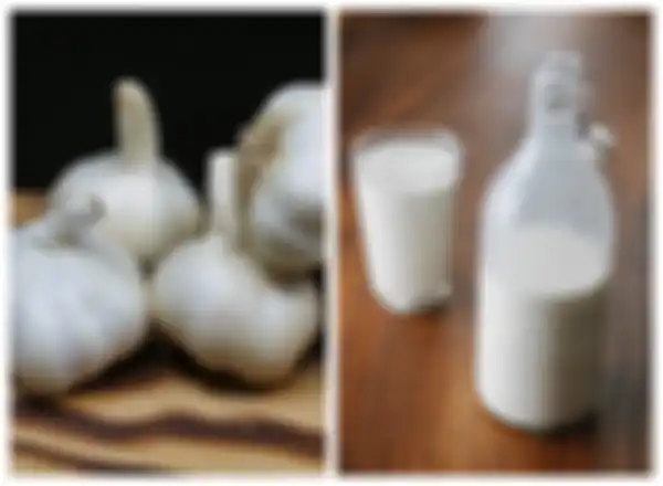 Minum susu bawang putih sebelum tidur